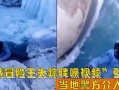 最新爆料冒险王事件,最新爆料揭秘背后真相